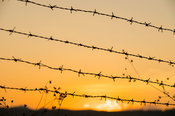 Fototapeta na wymiar Golden light of the sun, through the barbed wire and steel fence, suitable for graphics.Close up