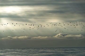 Beachcombers / Stints