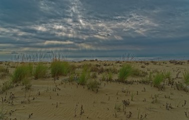 The Beach