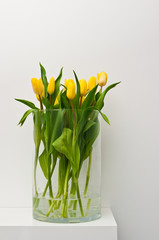 Yellow tulips in glass jar home decoration Easter concept
