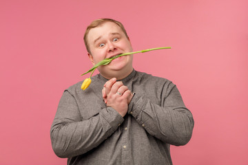 Caucasian softie tubby man holding yellow tulips while thinking ready for Valentine day, isolated on pink background