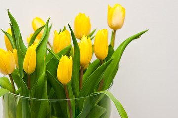 Yellow tulips in glass jar home decoration Easter concept