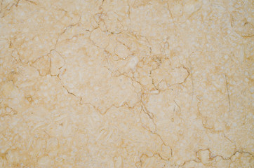 Polished sandstone for cladding slab closeup