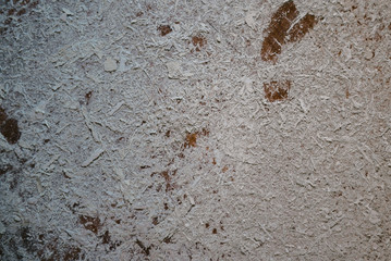 Paint from the ceiling crumbled to the floor