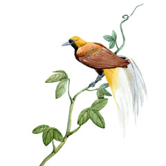 Watercolor leopard jaguar texture pattern