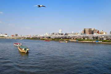 春の隅田川