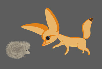 Fox breed fennec and hedgehog