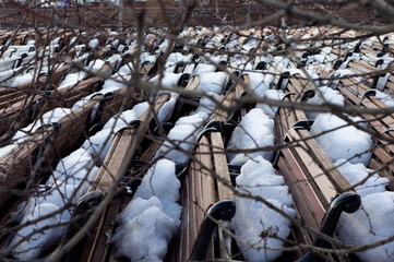 Park benches stored and covered with show in early spring