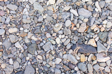 河原の石ころ