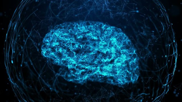 3D footage of human brain in bule digital background. Сoncept of brain thinking or human body sciencific
