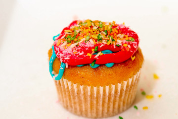 Cupcake close-up with colorful toppings and powder.