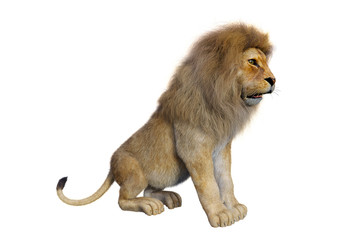 3D Rendering Male Lion on White