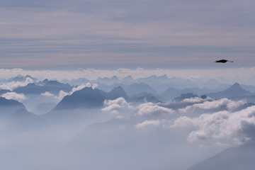 View of the Alps from Zugspitze, between Germany and Austria