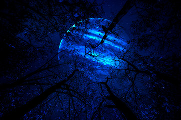 planet earth, saturn and jupiter in a cosmic cloud - Elements of this image furnished by NASA