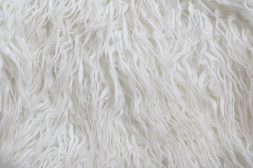 Close up white fluffy fur texture background