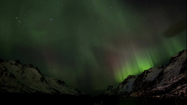 Northern light (aurora borealis) in a fjord 4K