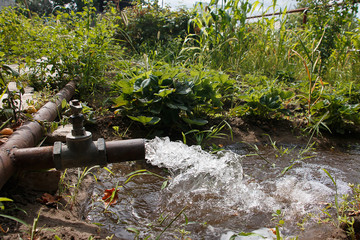 strong water pressure from the tap for watering plants on the plot, in the garden