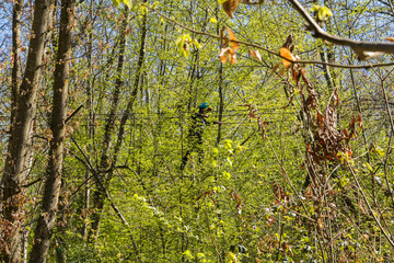 Parcours d'Accrobranche en forêt avec personne en action