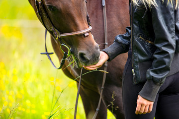 Close-up of woman feeding her arabian horse with snacks