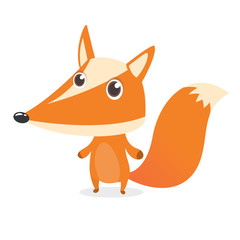  Cute cartoon  fox character. Vector illustration