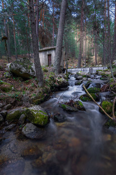 Arroyo sierra de guadarrama