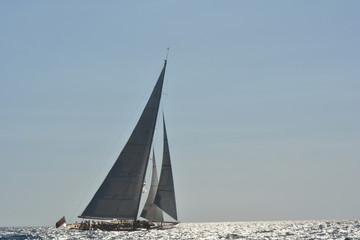 vela