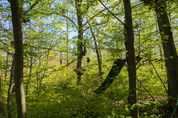 Parcours d'Accrobranche en forêt avec personne en action