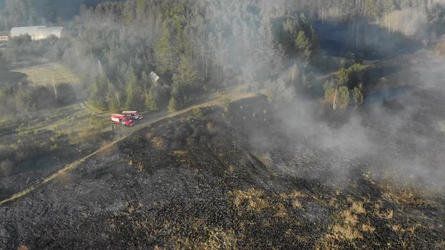 Large-scale fires. Burning grass and trees in a large area. Fire trucks at the fire place