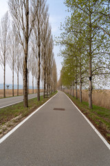 Insel Reichenau im Bodensee 