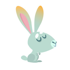Cartoon Rabbit Character design. Vector illustration. Easter. Isolated on white