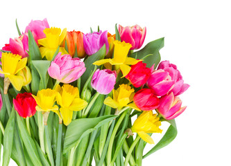 bouquet of tulips and daffodils