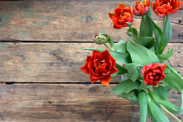 Flowers composition from red tulips on an old wooden background