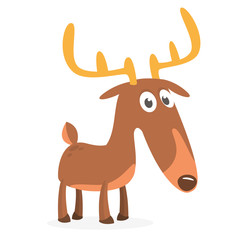 Cartoon deer character illustration. Vector isolated