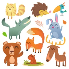 Fotobehang Cartoon forest animals big set. Flat vector illustrations design. Squirrel, hedgehog, hamster, wolf, fox, toucan bird, bear, deer © drawkman