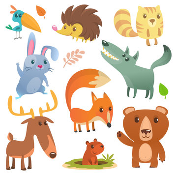 Cartoon forest animal. Wild cartoon cute animals  flat vector illustration design. Squirrel, hedgehog, hamster, wolf, fox, toucan bird, bear, deer