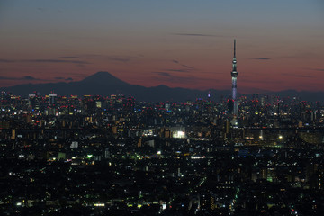 Obraz premium スカイツリーと富士山