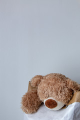 Teddy bear on white background with copy space. love and children concept