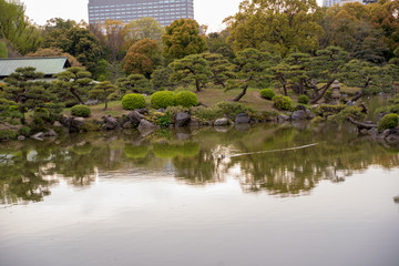 Fototapeta premium KIYOSUMI TEIEN garden in TOKYO,JAPAN. Spring