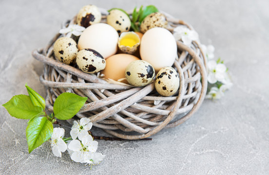Nest with chicken and quail eggs