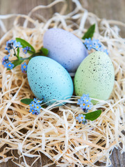 Obraz na płótnie Canvas Nest with easter eggs