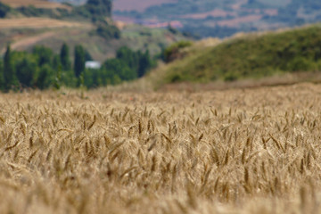 Garínoain, Navarra, España