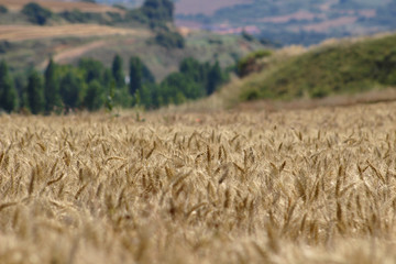 Garínoain, Navarra, España