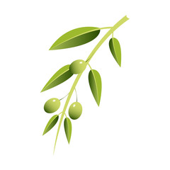 olive, oil, plant