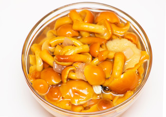 Wild, pickled, marinated mushrooms in bowl close up on white background