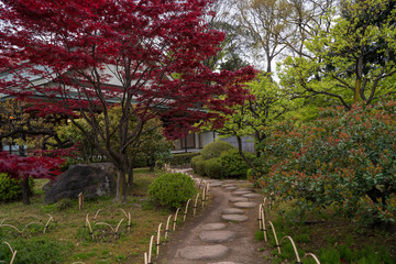 KIYOSUMI TEIEN garden in TOKYO,JAPAN. Spring