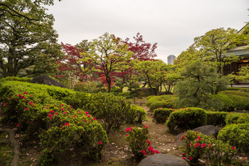 KIYOSUMI TEIEN garden in TOKYO,JAPAN. Spring