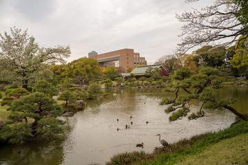 KIYOSUMI TEIEN garden in TOKYO,JAPAN. Spring