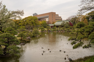 KIYOSUMI TEIEN garden in TOKYO,JAPAN. Spring