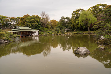 KIYOSUMI TEIEN garden in TOKYO,JAPAN. Spring