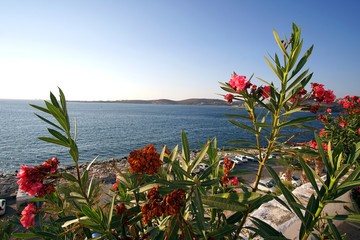 Beautiful view of the Gulf of Parikia from the church of Agios Konstantinou, a traditional Cycladic...